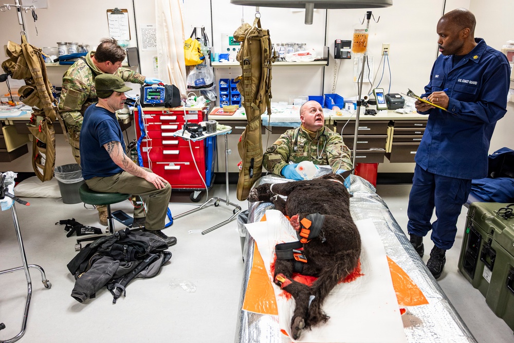 Joint Force Tackles Mass Casualty Scenarios During AE26