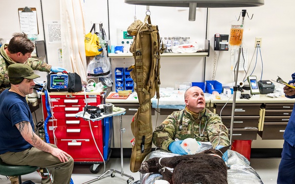 Joint Force Tackles Mass Casualty Scenarios During AE26