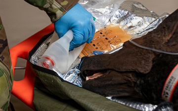 Joint Force Tackles Mass Casualty Scenarios During AE26