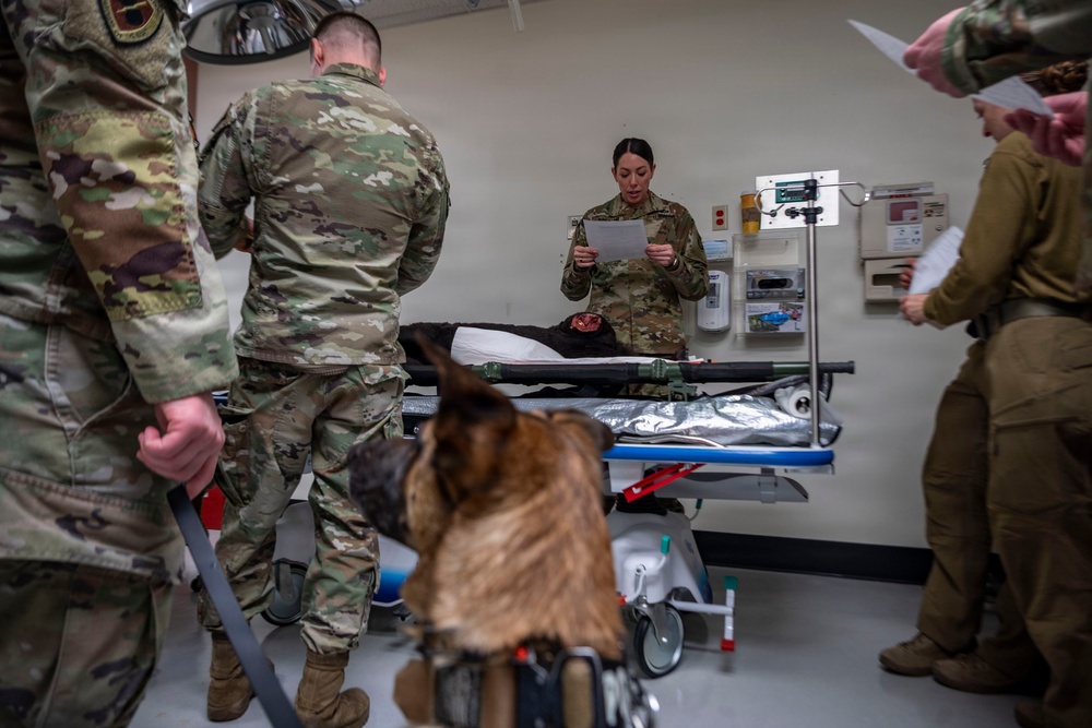 Simulated Crisis, Real Training: Mass Casualty Drill at Kodiak Island