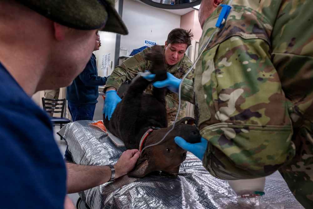Simulated Crisis, Real Training: Mass Casualty Drill at Kodiak Island