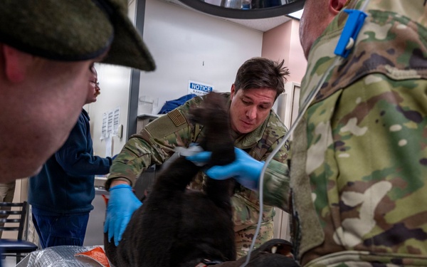 Simulated Crisis, Real Training: Mass Casualty Drill at Kodiak Island