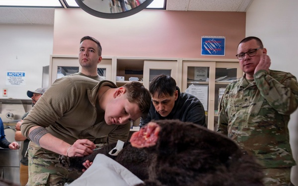 Joint Force medical experimentation team performs mass casualty drill USCG Air Station Kodiak during ARCTIC EDGE 2026