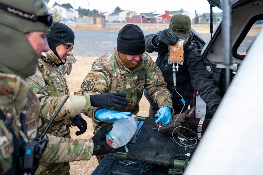 Cold Weather Medicine Mass Casualty Drill at Arctic Edge 2026