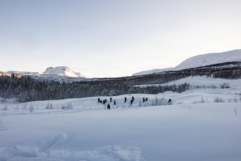 CORE26 | U.S. Marines conduct Live-Fire and Maneuver Squad Attacks in Norway