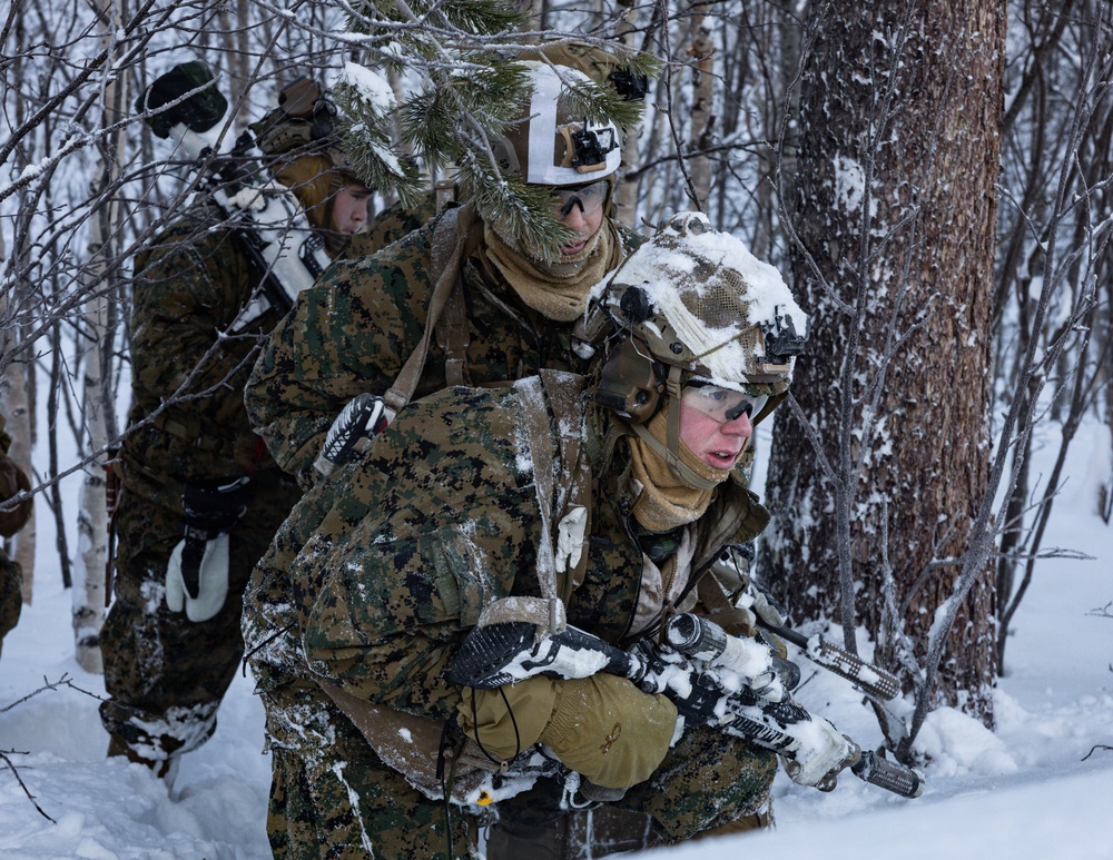 CORE26 | U.S. Marines conduct Live-Fire and Maneuver Squad Attacks in Norway