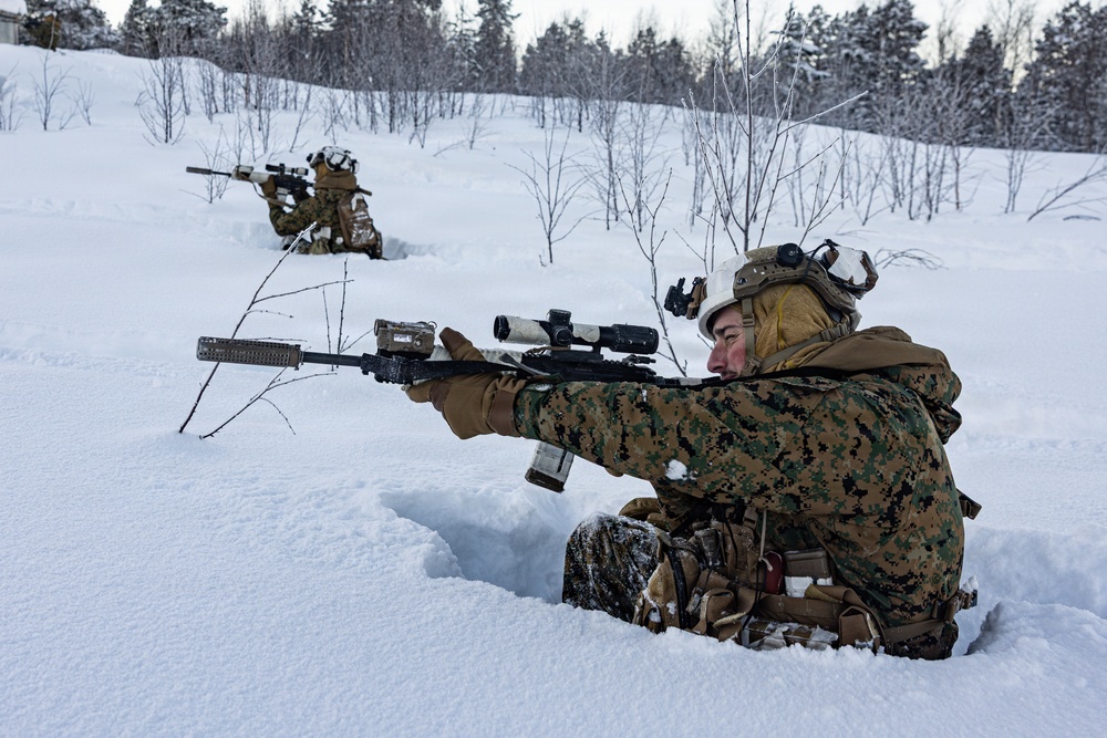 CORE26 | U.S. Marines conduct Live-Fire and Maneuver Squad Attacks in Norway