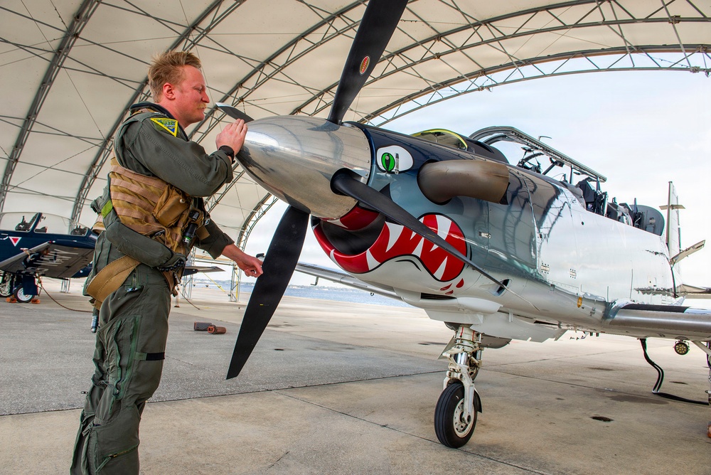 T-6 Texan II historic paint job