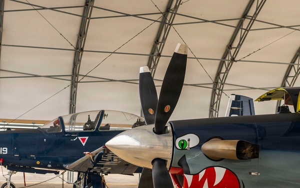 T-6 Texan II historic paint job