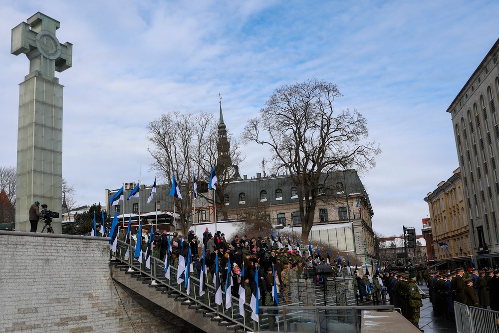 Allies Stand Together at Estonian Independence Day Parade Celebrating Freedom and Partnership