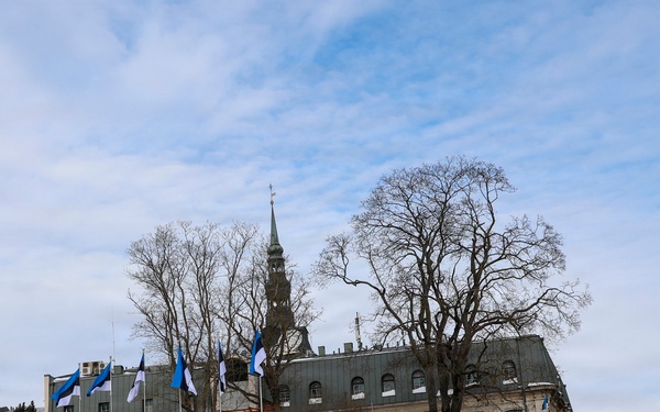 Allies Stand Together at Estonian Independence Day Parade Celebrating Freedom and Partnership