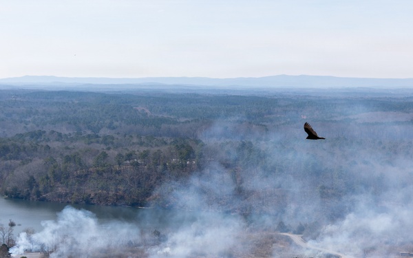 USACE, Georgia DNR conduct prescribed burn near Carters Dam