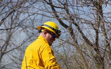 USACE, Georgia DNR conduct prescribed burn near Carters Dam