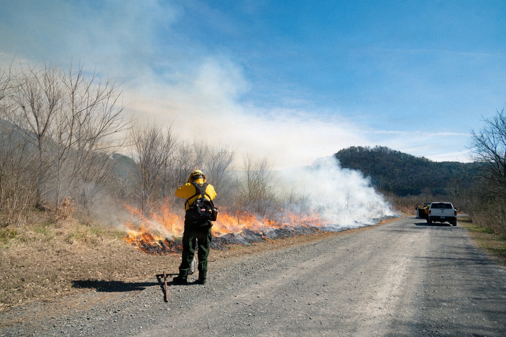 Prescribed Burn near Carters Lake