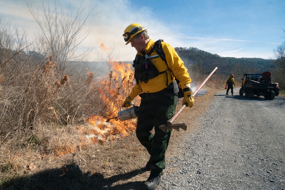 Prescribed Burn near Carters Lake