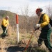 Prescribed Burn near Carters Lake