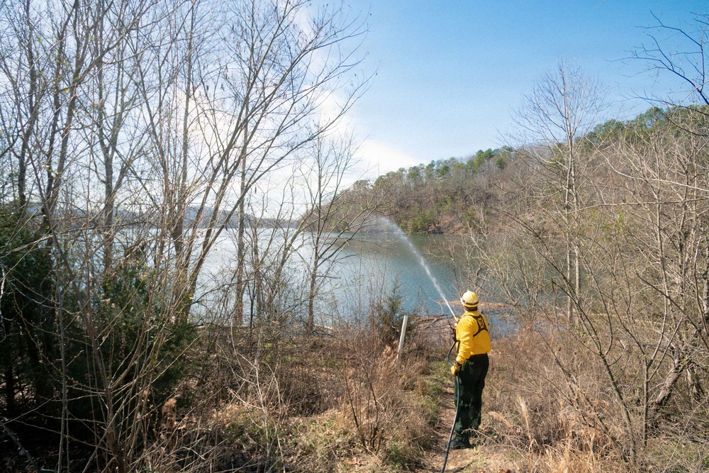 Prescribed Burn near Carters Lake