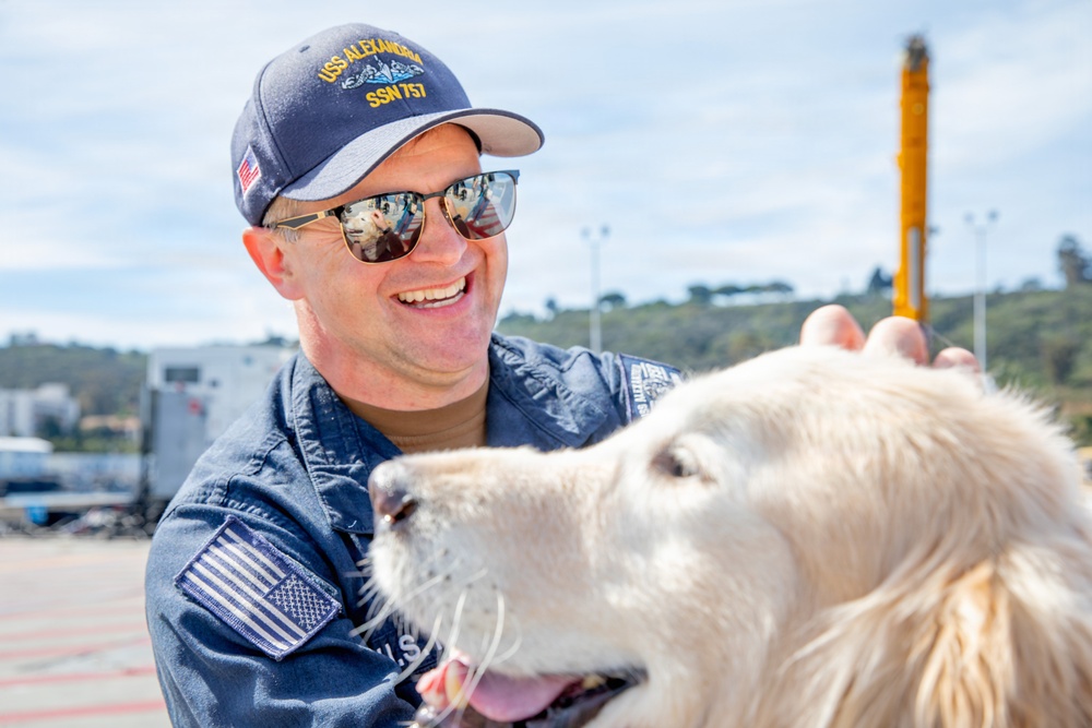 Pawsitive Teams visits Naval Base Point Loma