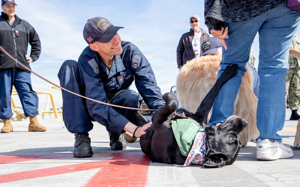 Pawsitive Teams visits Naval Base Point Loma