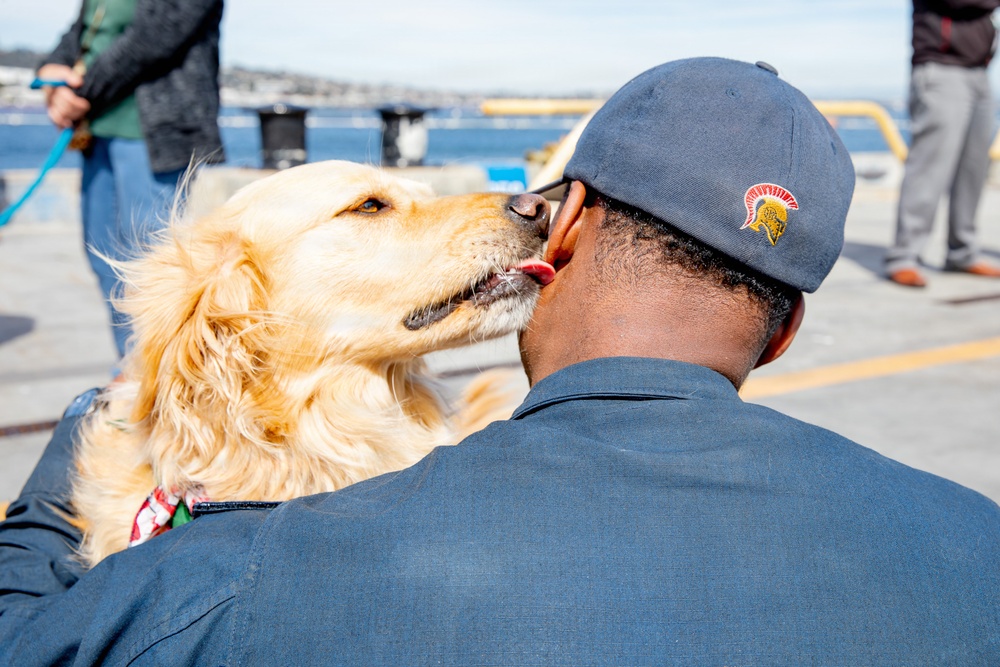 Pawsitive Teams visits Naval Base Point Loma