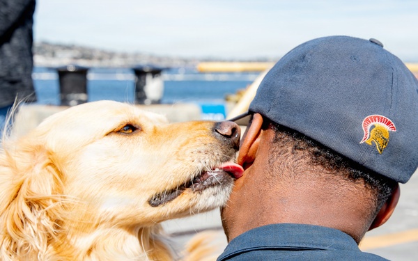 Pawsitive Teams visits Naval Base Point Loma