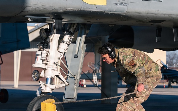 442d Fighter Wing divests A-10 Thunderbolt II attack aircraft