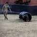 Military Working Dogs with the U.S. Army Military District of Washington
