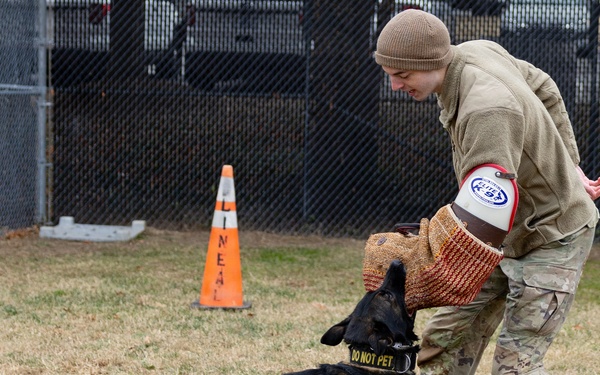 Military Working Dogs with the U.S. Army Military District of Washington