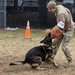 Military Working Dogs with the U.S. Army Military District of Washington