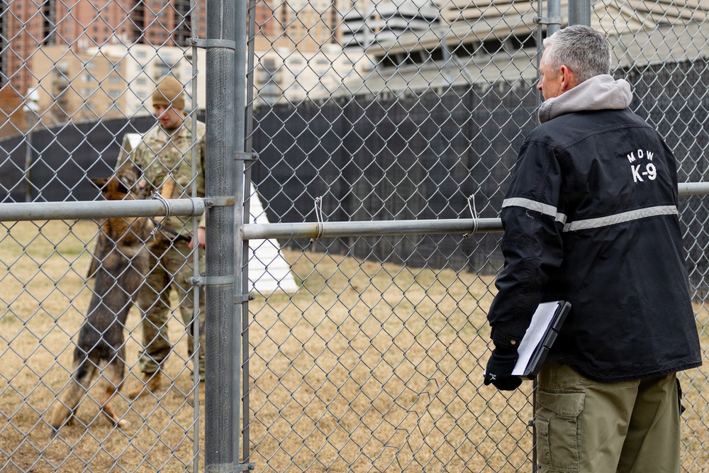 Military Working Dogs with the U.S. Army Military District of Washington