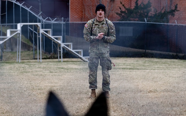 Military Working Dogs with the U.S. Army Military District of Washington