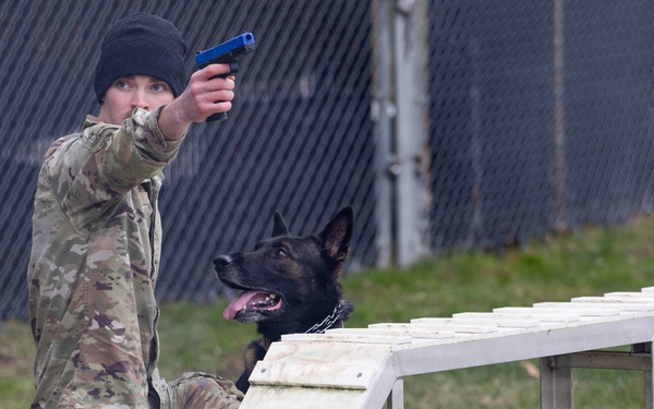 Military Working Dogs with the U.S. Army Military District of Washington