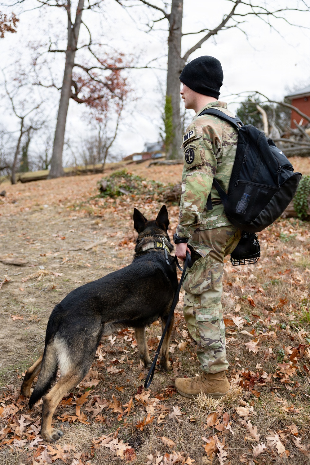Military Working Dogs with the U.S. Army Military District of Washington