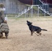Military Working Dogs with the U.S. Army Military District of Washington