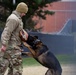 Military Working Dogs with the U.S. Army Military District of Washington