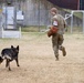 Military Working Dogs with the U.S. Army Military District of Washington