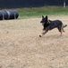 Military Working Dogs with the U.S. Army Military District of Washington