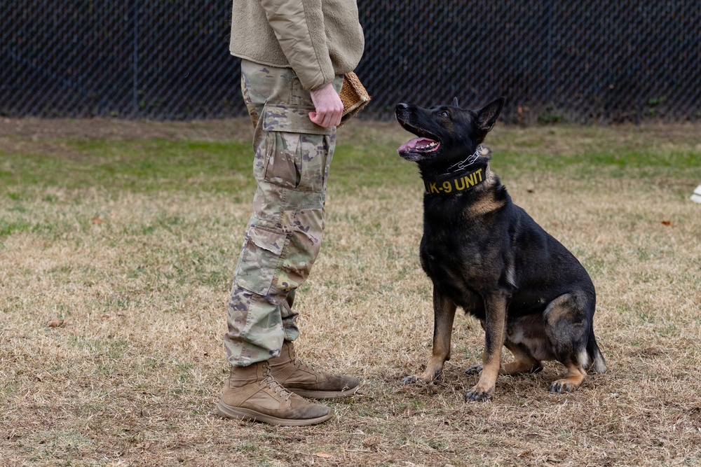 Military Working Dogs with the U.S. Army Military District of Washington