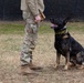 Military Working Dogs with the U.S. Army Military District of Washington