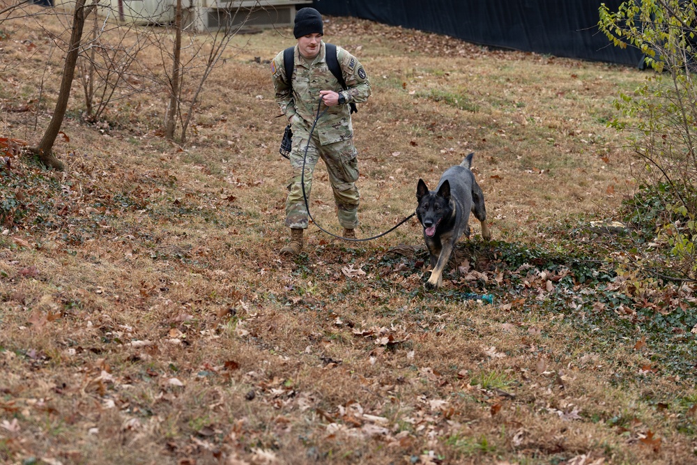 Military Working Dogs with the U.S. Army Military District of Washington