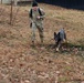 Military Working Dogs with the U.S. Army Military District of Washington