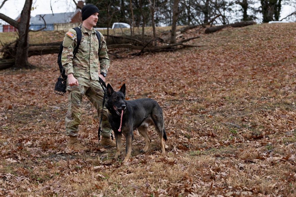 Military Working Dogs with the U.S. Army Military District of Washington