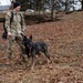 Military Working Dogs with the U.S. Army Military District of Washington