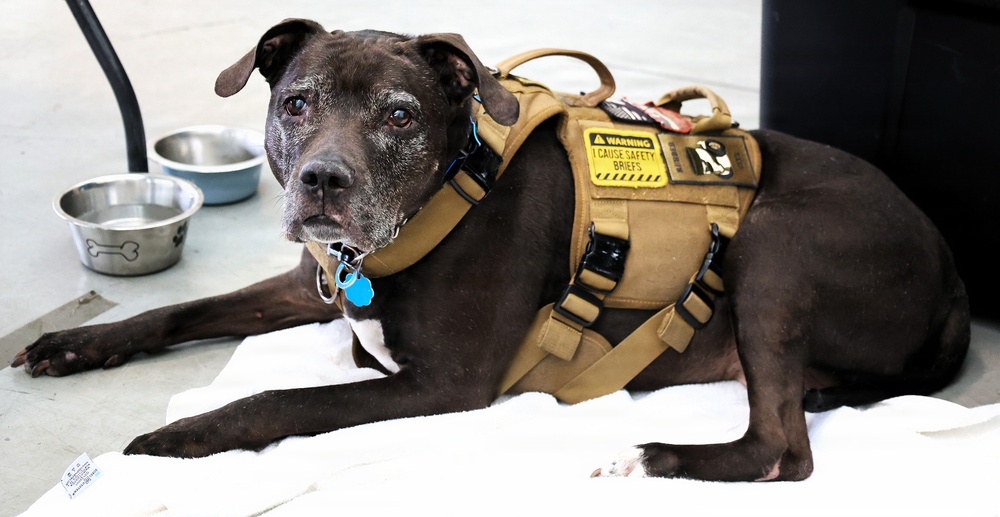 Illinois Army National Guard Field Artillery Battalion Joins With Community to Give Blood
