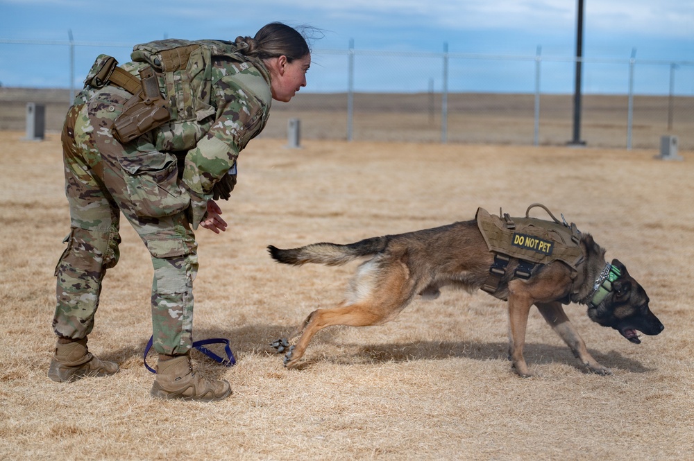 Military Spouses to 90th Security Forces Group