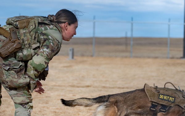 Military Spouses to 90th Security Forces Group