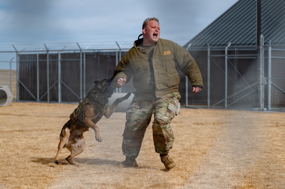 Military Spouses to 90th Security Forces Group