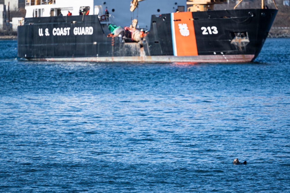 From Ship to Shore: Joint Force Teams Partner with USCGC Fir for Medical Exercise