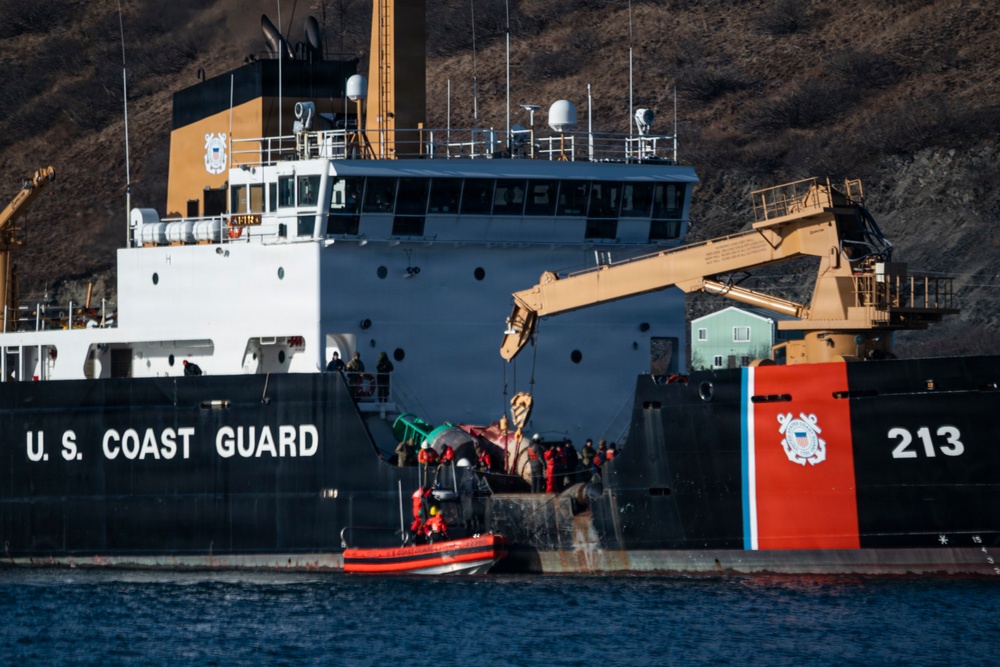 From Ship to Shore: Joint Force Teams Partner with USCGC Fir for Medical Exercise