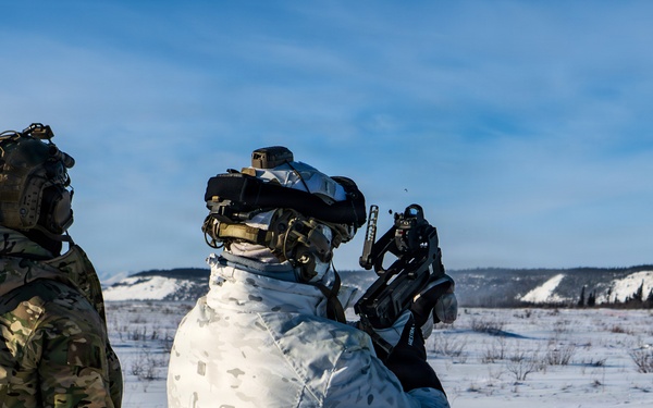 Forged in the Cold: Marine Raiders Hone Their Skills in Arctic Weapons Training